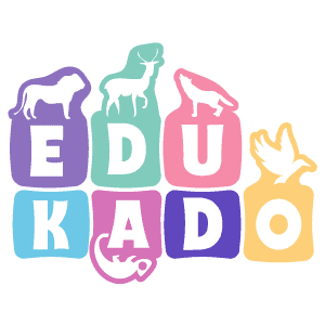 Przedszkola warszawa żoliborz - Przedszkole niepubliczne Warszawa - Edukado