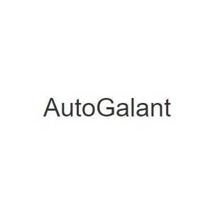 Wypożyczalnia samochodów dostawczych gniezno - Wynajem samochodów - AutoGalant